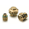 Brass filler plugs with filter or valve